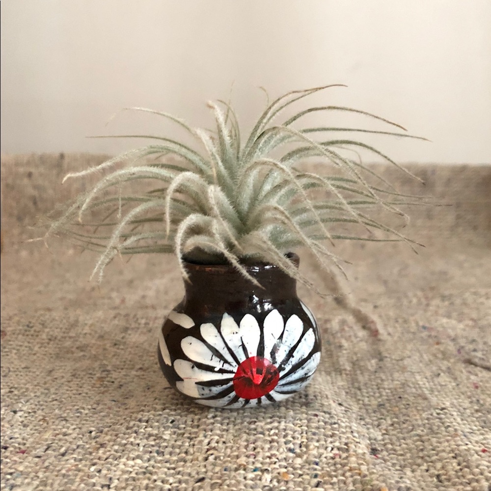 Little Pot